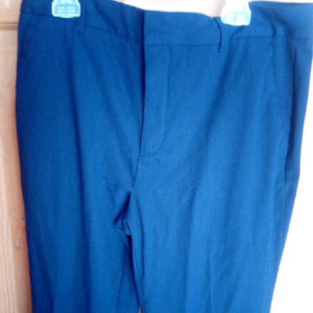Banana Republic Navy Boot Cut Pants